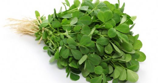 Su Otu Kullanımı ve Faydaları Nelerdir?