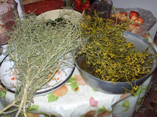 Tarhana Otu Türleri ve Özellikleri