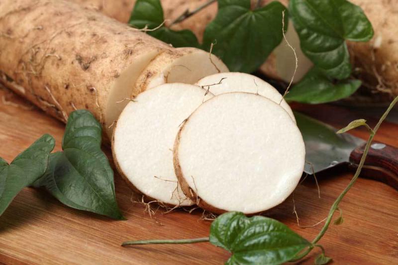 Yams Kökü Kullanımı ve Faydaları Nelerdir?